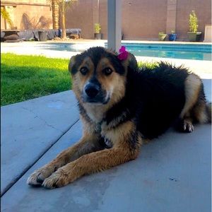 Meet your Posher, Edgar